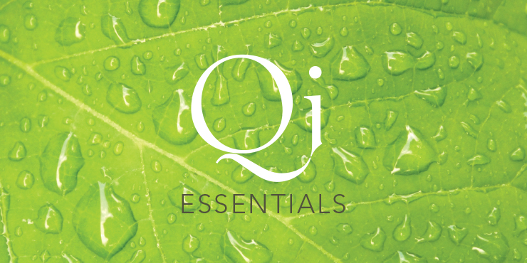 Blog template logos Qi